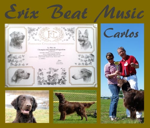 Erix Beat Music