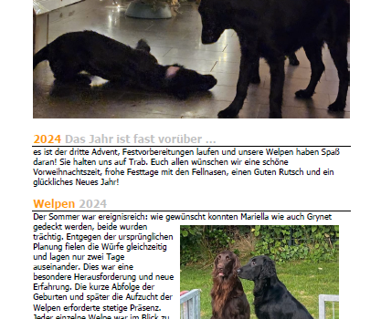 Geschützt: Ausgabe 17/2024 Ausgabe 17-2024