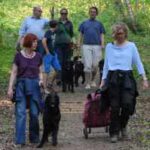 Offener Spaziergang Erix Flat Coated Retriever