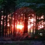 14.6.2009 Zwingertreffen