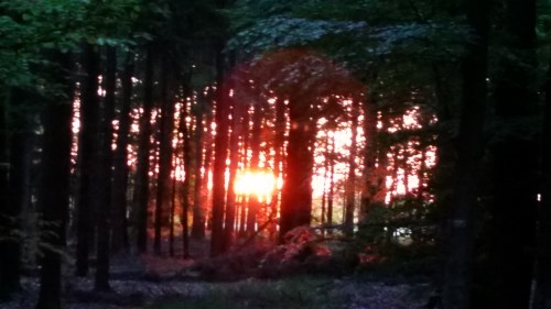 14.6.2009 Zwingertreffen