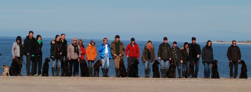 27.3.2011 Arbeitstreffen Amrum