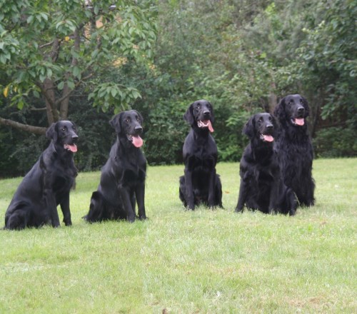 6. und 7.08.2011 D-Wurftreffen
