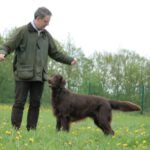 07.05.2012 Erix Ringtraining