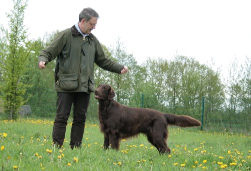 07.05.2012 Erix Ringtraining