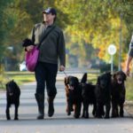 20. und 21.10.2012 D-Wurf und F-Wurf Treffen