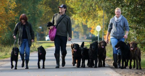 20. und 21.10.2012 D-Wurf und F-Wurf Treffen