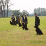 01.06.2013 Arbeitstreffen Nienwalde