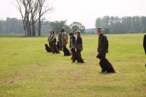 01.06.2013 Arbeitstreffen Nienwalde