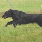 22.09.2013 Arbeitstreffen Anfänger und Fortgeschrittene