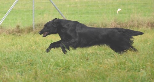 22.09.2013 Arbeitstreffen Anfänger und Fortgeschrittene