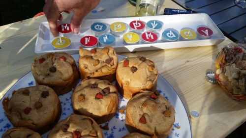 24.08.2014 Wurftreffen des I-Wurfs