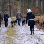 1.2.2015 Wurftreffen des J-Wurf