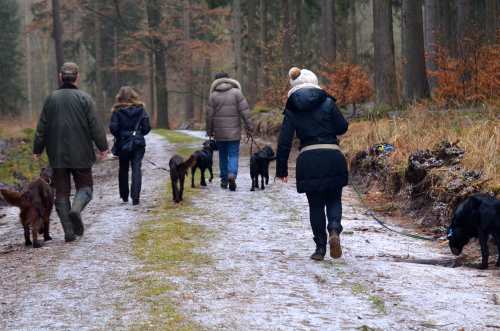 1.2.2015 Wurftreffen des J-Wurf