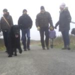 E-Wurf Treffen Erix Flat Coated Retriever