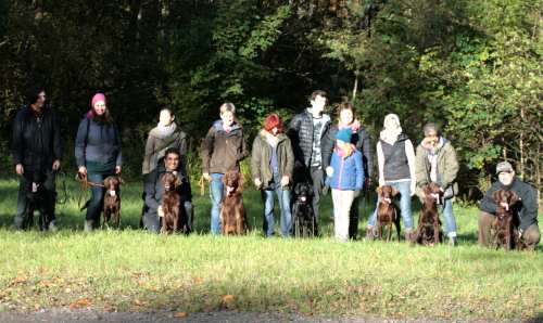 Erix Flat Coated Retriever Treffen
