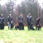 M-Wurf Erix Flat Coated Retriever