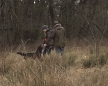 Dummytraining Erix Flat Coated Rteriever