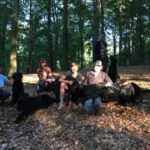 Spaziergang Erix Flat Coated Retrievrt