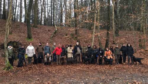 Spaziergang Erix Flat Coated retriever