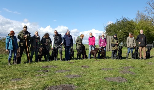 Bei schönstem Frühjahrswetter fanden sich zehn ERIX-Hunde aus dem O-Wurf und dem P-Wurf zum Dummyseminar ein. Nach einigen Basics und Standardmarkierungen konnten wir neben einem Treiben, verschiedenen Wasserapports und Blinds über Wasser am Abend auf auf eine schönen und erfolgreichen Tag zurückblicken. Es war eine schöne fröhliche Runde :)