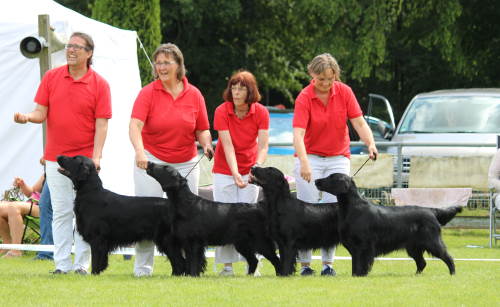 Zuchtgruppe Erix Flat Coated Retriever
