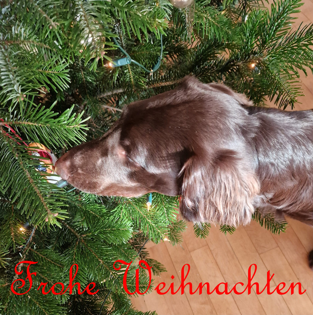 Weihnachtsgrüße 2026