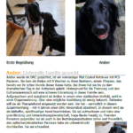 Erix_Plus_2025-018 - Flyer