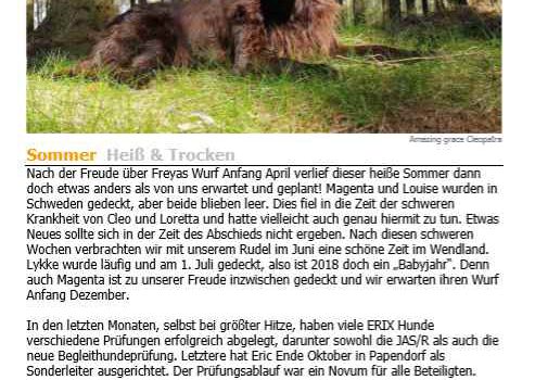 Geschützt: Ausgabe Nr.11 / 2018 Plus+