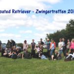 Zwingertreffen Erix Flat Coated Retriever