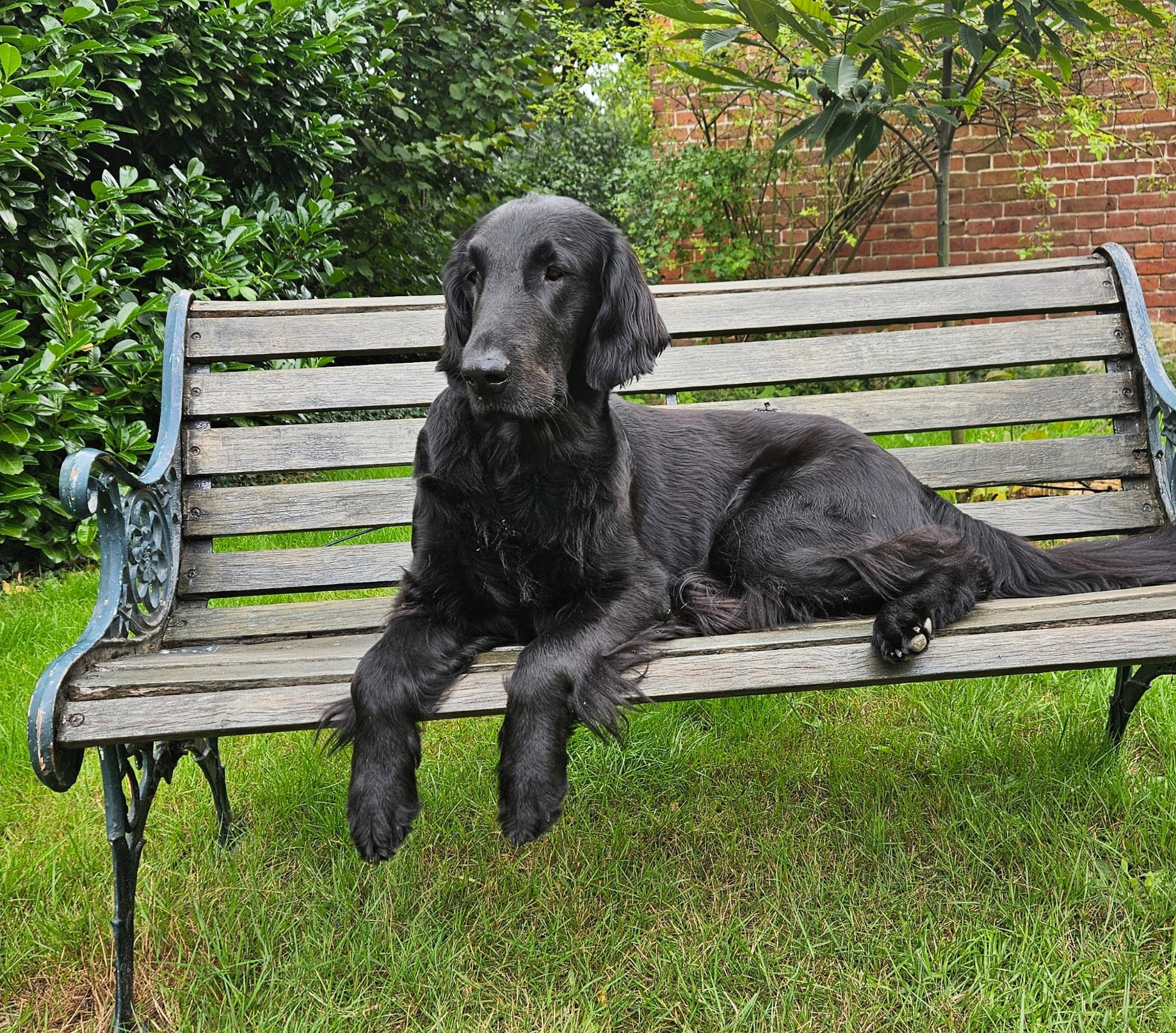 Flat Erix Another Dimension