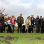 N-Wurf Treffen Erix Flat Coated Retiever