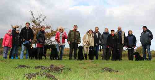 N-Wurf Treffen Erix Flat Coated Retiever