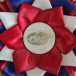 Erix Flat Coated Retriever Schleife