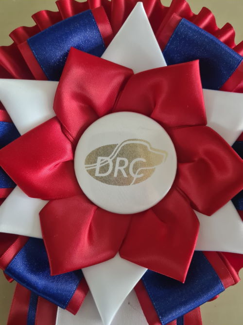 Erix Flat Coated Retriever Schleife