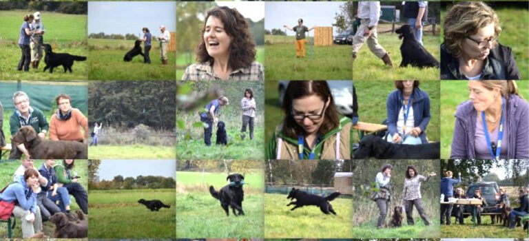 11.10.2014 Erix Workingtest