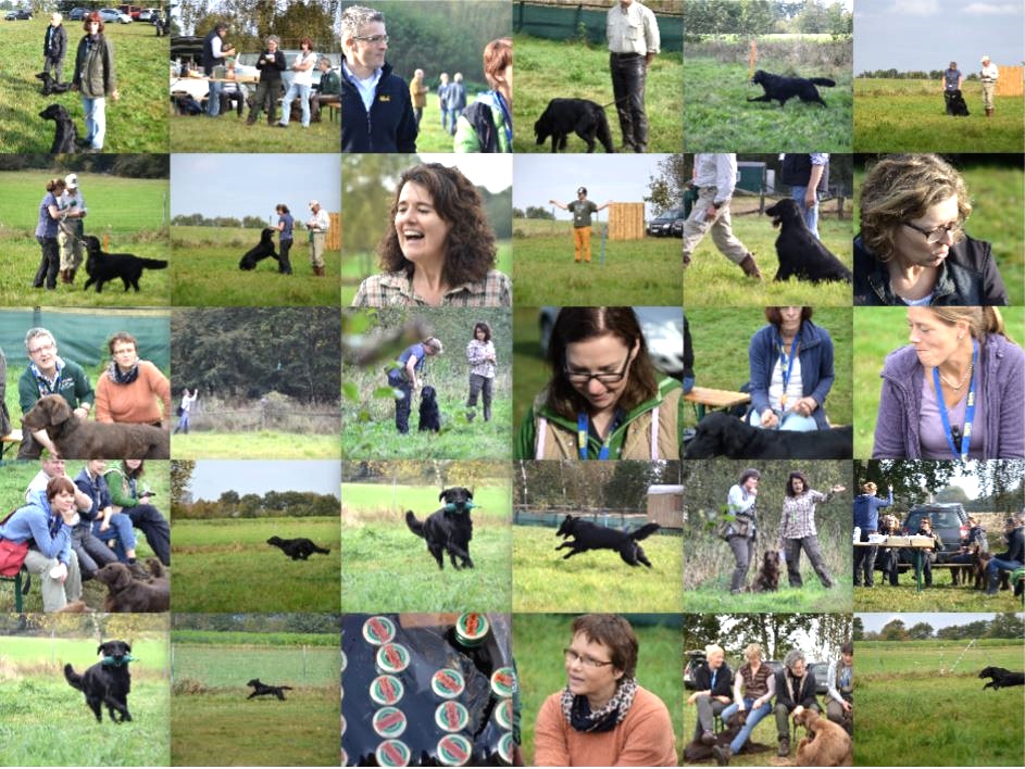 11.10.2014 Erix Workingtest