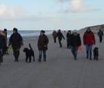 Camp Erix Amrum Zwingertreffen Flat Coated retriever