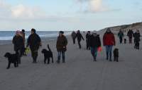 Camp Erix Amrum Zwingertreffen Flat Coated retriever