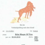 VPS Erix Shape Of You