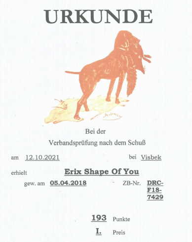 VPS Erix Shape Of You