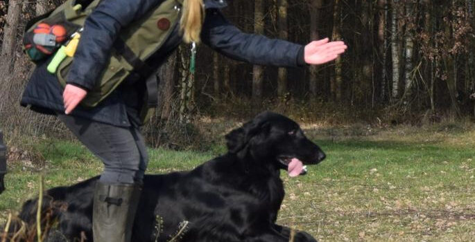 13.03.2026 Heidecup & mehr