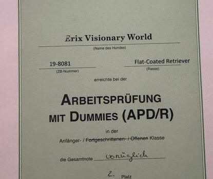 26.05.2026 Wir gratulieren Anke mit Floortje zur APD/A 26.05.2026 Wir gratulieren Anke mit Floortje zur APD/A